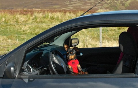 Jethro somewhere in the middle of Scotland